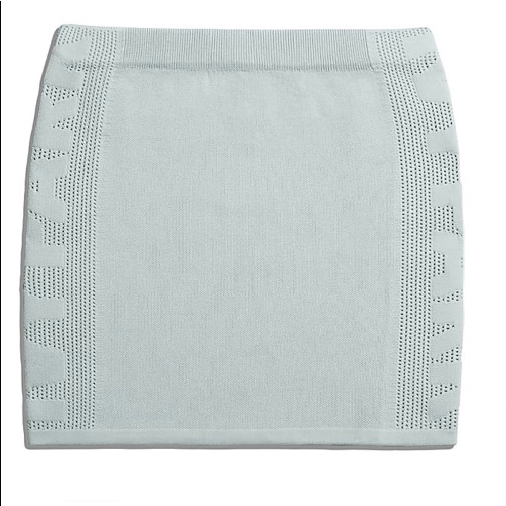 Ivy Park Knit skirt